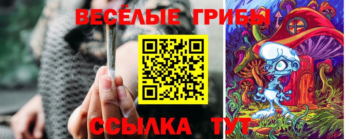 Галлюциногенные грибы ЛСД  Вход с VPN  Отрадное 