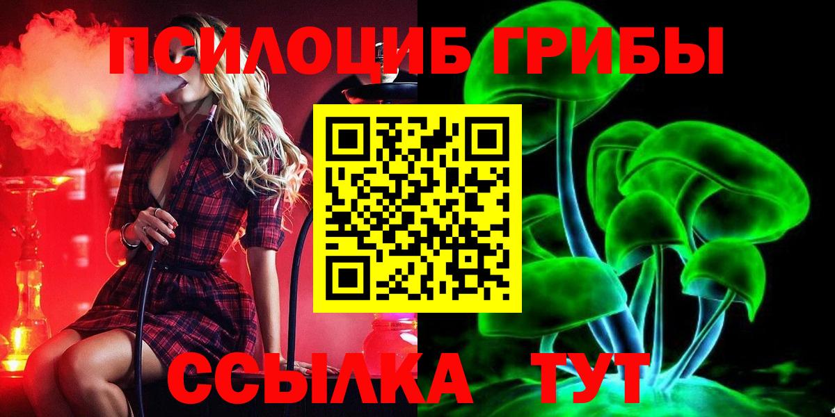 Галлюциногенные грибы мицелий Отрадное
